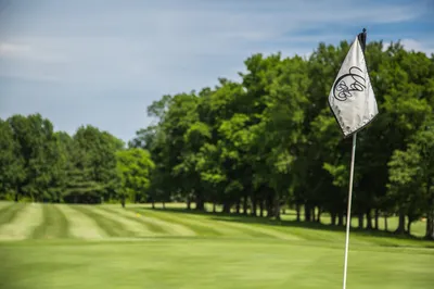 Golf course green with flag surrounded by trees